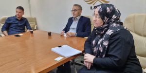 الضمانية للتأمين